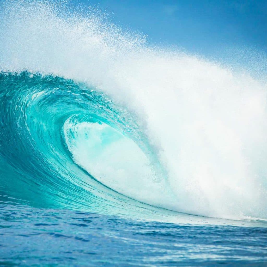 🌸 Fondants Parfumés Personnalisés avec Message – Cire Végétale Artisanale - Les Fondants d'Aliyah - Fondant parfumé