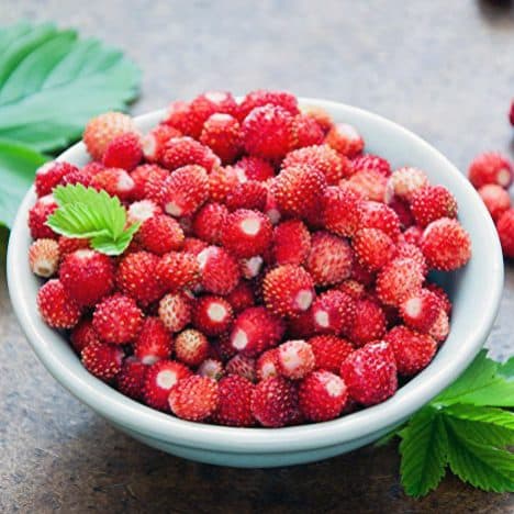 🌸 Fondants Parfumés Personnalisés avec Message – Cire Végétale Artisanale - Les Fondants d'Aliyah - Fondant parfumé