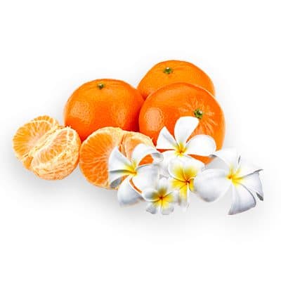 🌸 Fondants Parfumés Personnalisés avec Message – Cire Végétale Artisanale - Les Fondants d'Aliyah - Fondant parfumé