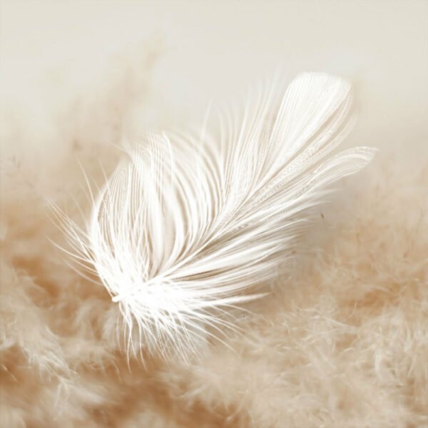 🌸 Fondants Parfumés Personnalisés avec Message – Cire Végétale Artisanale - Les Fondants d'Aliyah - Fondant parfumé