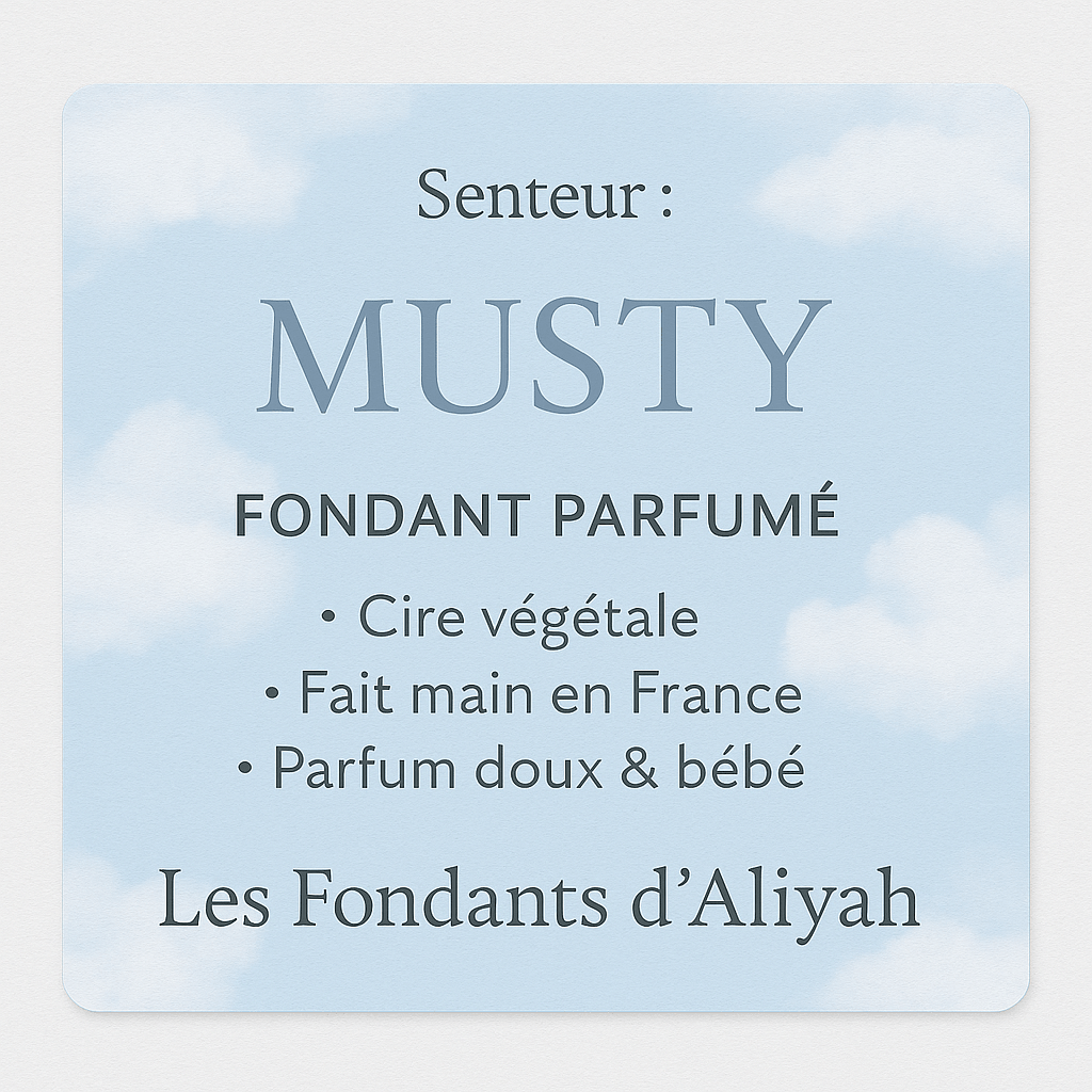 Fondant parfumé Musty - Ambiance Musqué et envoûtant en cire végétale - Les Fondants d'Aliyah - Fondant parfumé