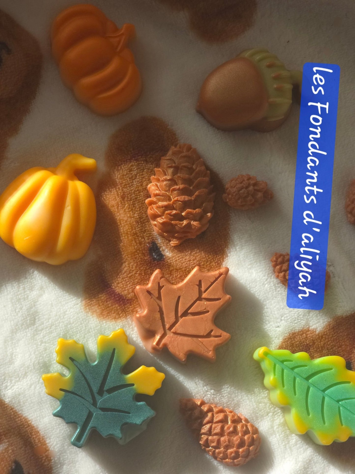 🍁 Fondant Parfumé d’Automne – 20 g – Les Fondants d’Aliyah - Les Fondants d'Aliyah - Fondants parfumés