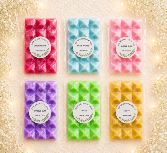 Tablettes de fondants parfumés artisanaux en cire végétale – Les Fondants d’Aliyah