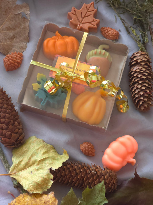 Coffret Automne – Les Fondants d’Aliyah - Les Fondants d'Aliyah - Fondants parfumés