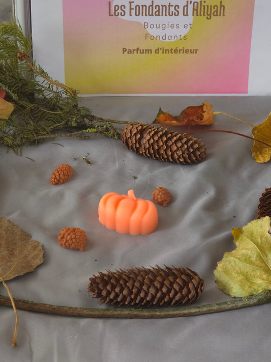 🍁 Fondant Parfumé d’Automne – 20 g – Les Fondants d’Aliyah - Les Fondants d'Aliyah - Fondants parfumés