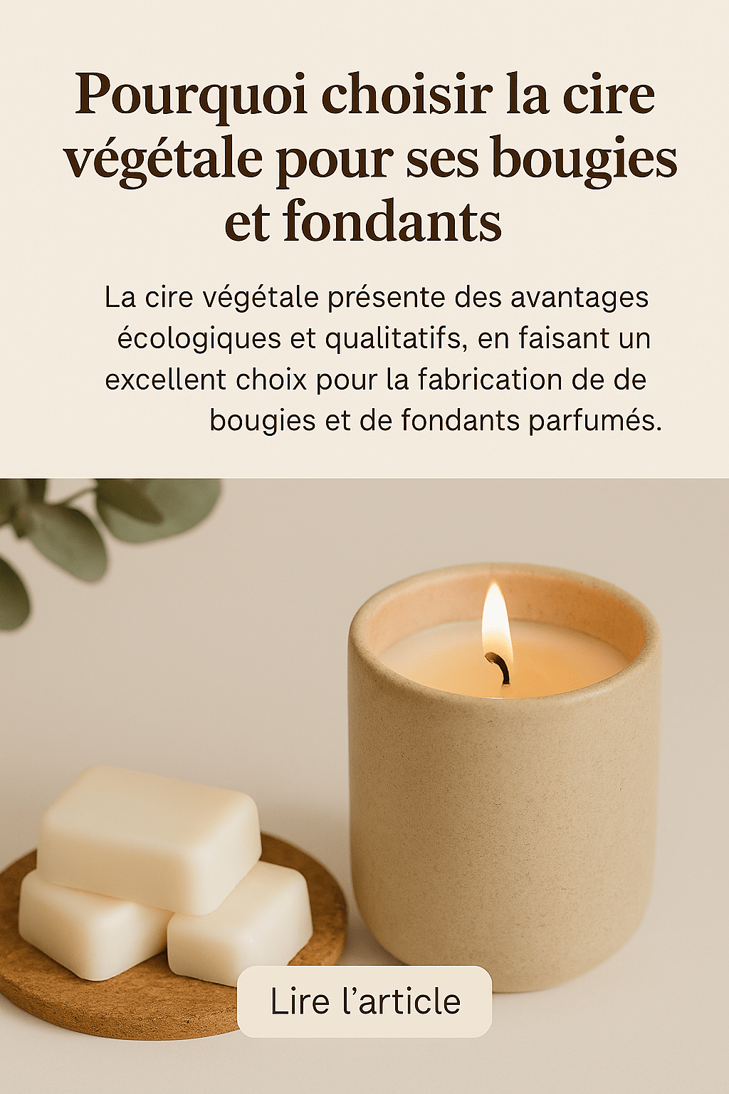 🌿 Pourquoi choisir la cire végétale pour ses bougies et fondants ? - Les Fondants d'Aliyah