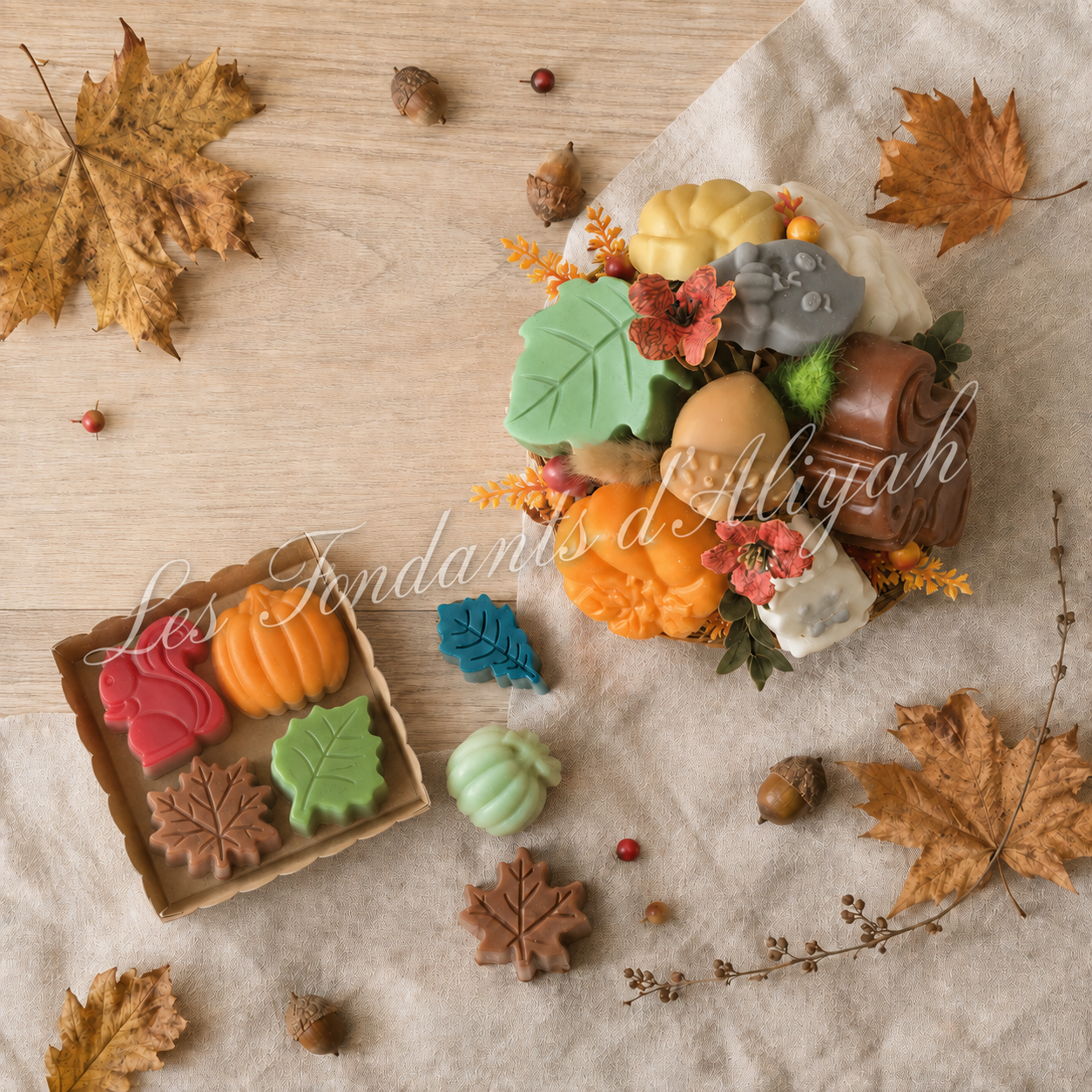 Collection Automne
