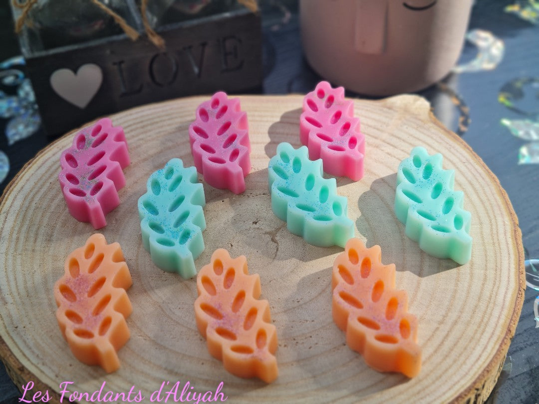 Fondants parfumés feuilles