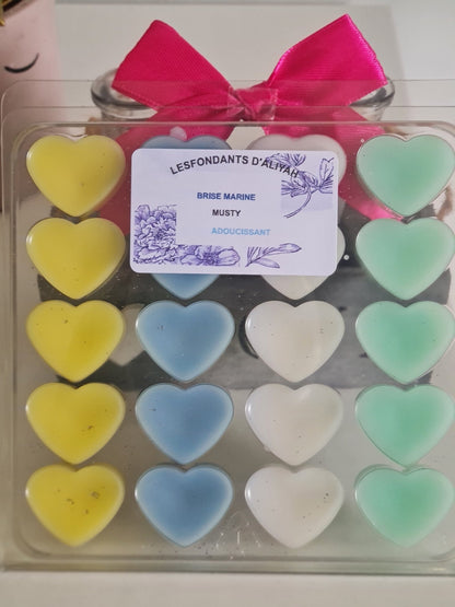 💖 Coffret Clamshell – 20 Fondants Parfumés en Forme de Cœurs en cire végétale artisanale - Les Fondants d'Aliyah