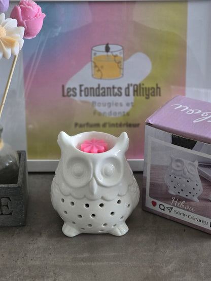 Brûle parfum Hibou - Les Fondants d'Aliyah - bougie parfumée