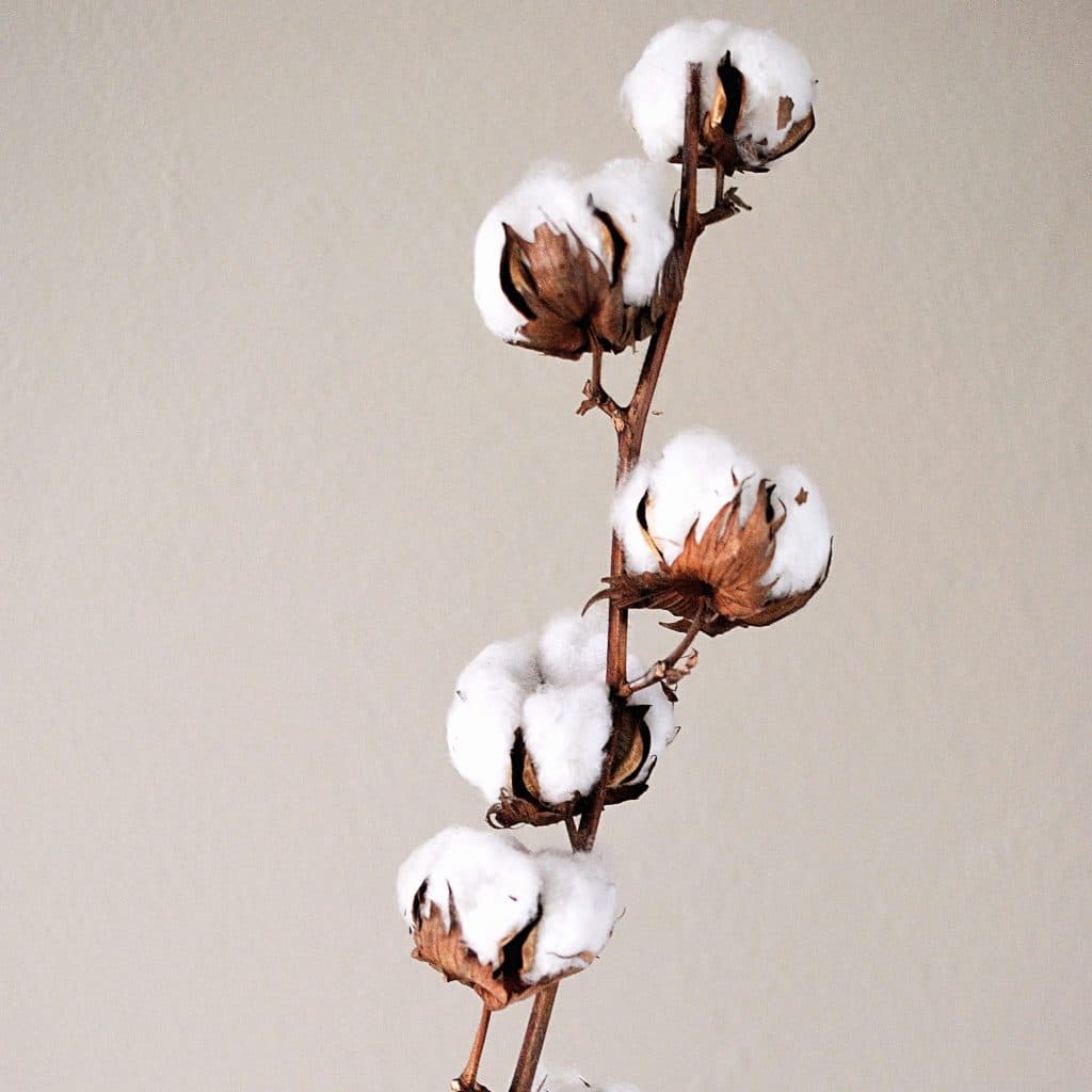 Fondant parfumé au cire végétale fleur