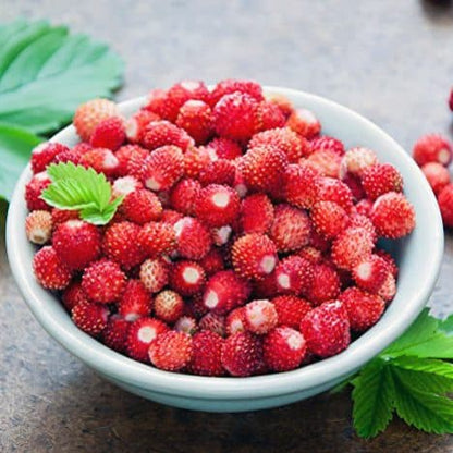 🌸 Fondants Parfumés Personnalisés avec Message – Cire Végétale Artisanale - Les Fondants d'Aliyah - Fondant parfumé