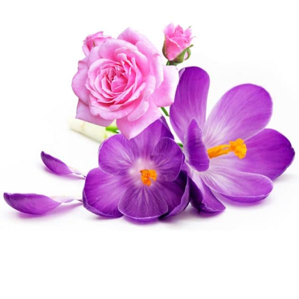 Fondant parfumé au cire végétale fleur