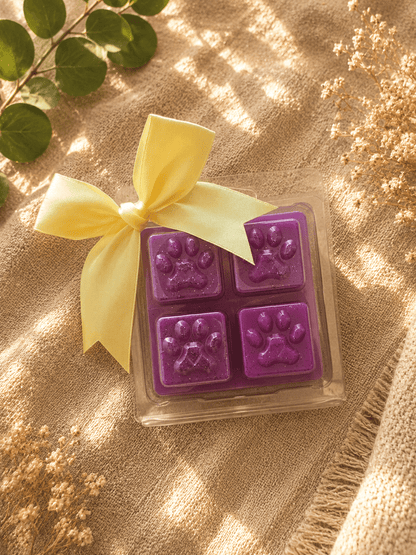 Fondant Parfumé Pattes d'Amour – 47 g 🐾 - Les Fondants d'Aliyah-Fondant parfumé