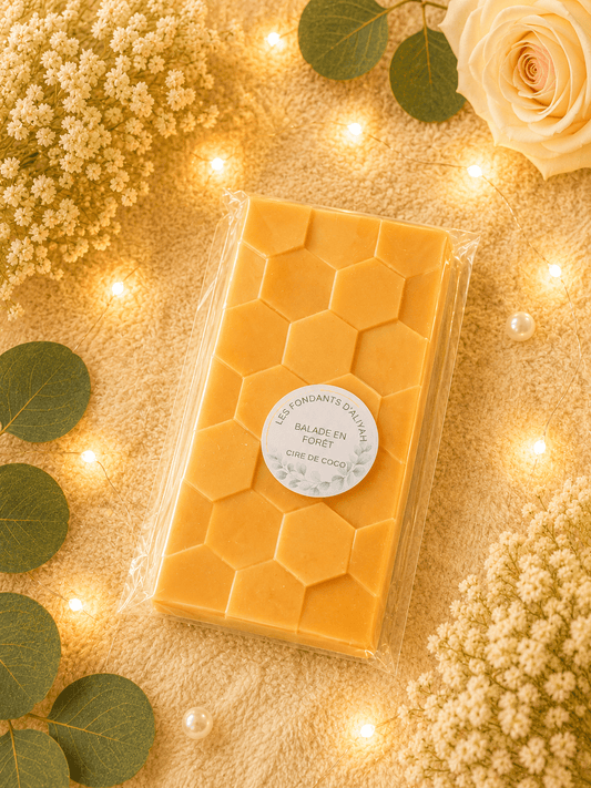 Fondants parfumés cassés – Les Ratés qui parfument à la perfection | Cire de coco - Les Fondants d'Aliyah - Fondants parfumés