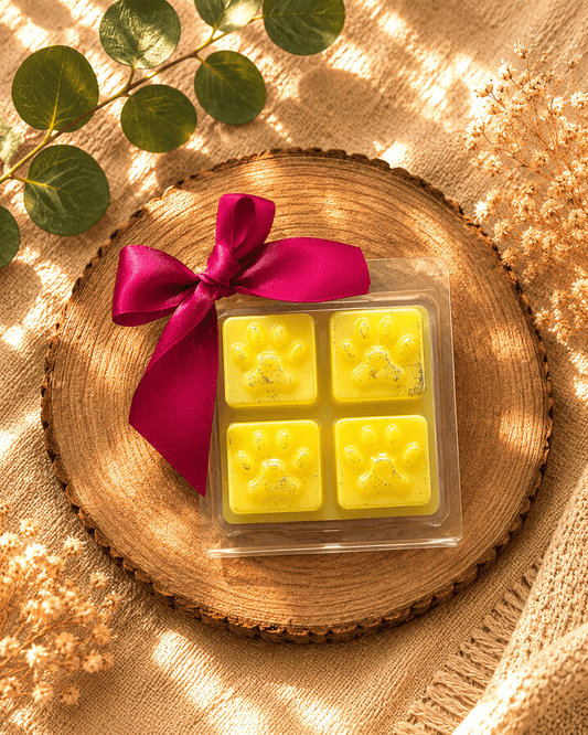 Fondant Parfumé Pattes d'Amour – 47 g 🐾 - Les Fondants d'Aliyah-Fondant parfumé