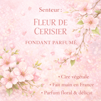 Fondant parfumé Fleur de cerisier - Cire végétale artisanale - Les Fondants d'Aliyah - Fondants parfumés