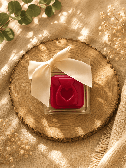 Fondant Parfumé Mini Cadeau – 20 g - Cire de coco artisanale - Les Fondants d'Aliyah-Fondant parfumé