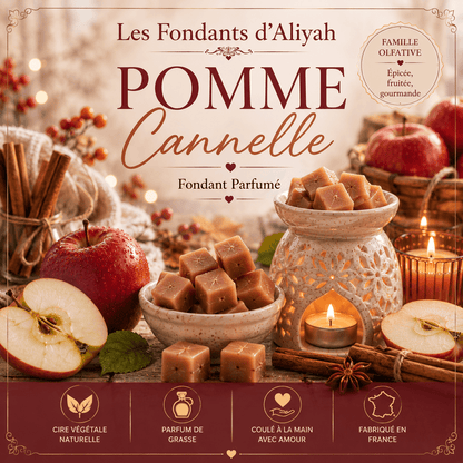 Fondant parfumé Pomme Cannelle – Cire de coco - Les Fondants d'Aliyah-Fondant parfumé