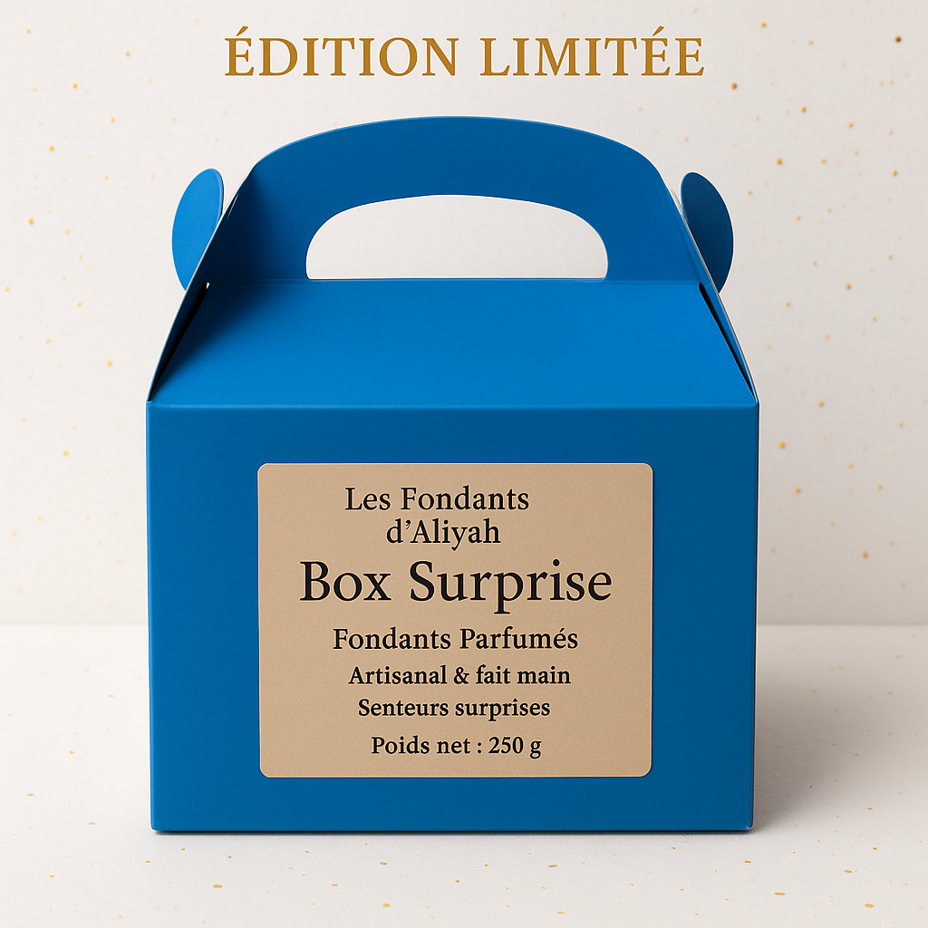 ✨ Box Surprise – Édition Limitée | Fondants Parfumés Artisanaux & Faits Main – 250g