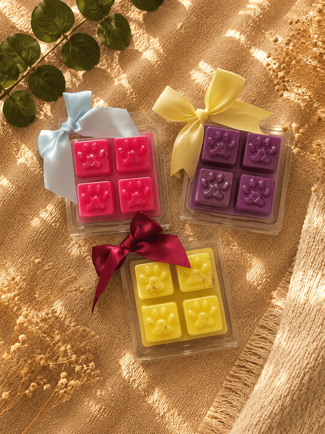 Fondant Parfumé Pattes d'Amour – 47 g 🐾 - Les Fondants d'Aliyah-Fondant parfumé