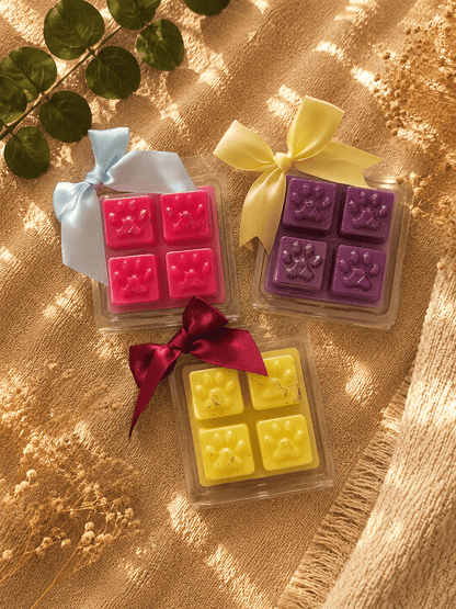 Fondant Parfumé Pattes d'Amour – 47 g 🐾 - Les Fondants d'Aliyah-Fondant parfumé