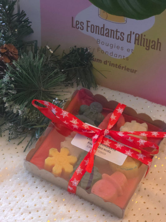 Coffret Noël – Fondants parfumés artisanaux 120 g - Les Fondants d'Aliyah - Fondant parfumé Noel