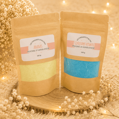 💖 Poudre d'Aspirateur Parfumée – Les Fondants d’Aliyah - Les Fondants d'Aliyah - 