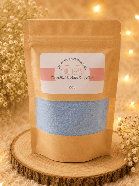 💖 Poudre d'Aspirateur Parfumée – Les Fondants d’Aliyah - Les Fondants d'Aliyah - 