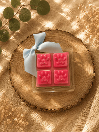 Fondant Parfumé Pattes d'Amour – 47 g 🐾 - Les Fondants d'Aliyah-Fondant parfumé
