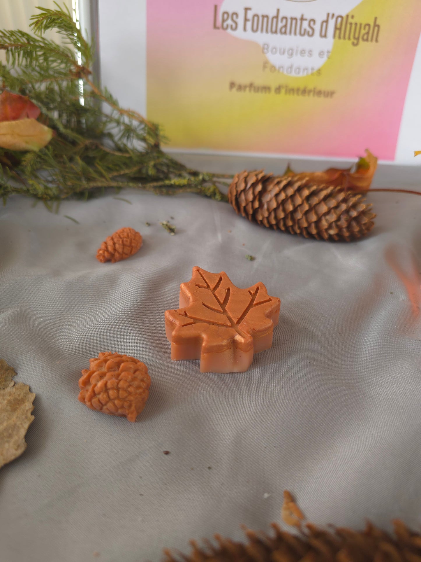 🍁 Fondant Parfumé d’Automne – 20 g – Les Fondants d’Aliyah