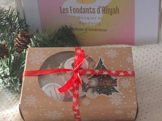 Coffret Noël – Assortiment de 20 fondants parfumés | Édition Cadeau | Les Fondants d’Aliyah - Les Fondants d'Aliyah - Fondant parfumé Noel