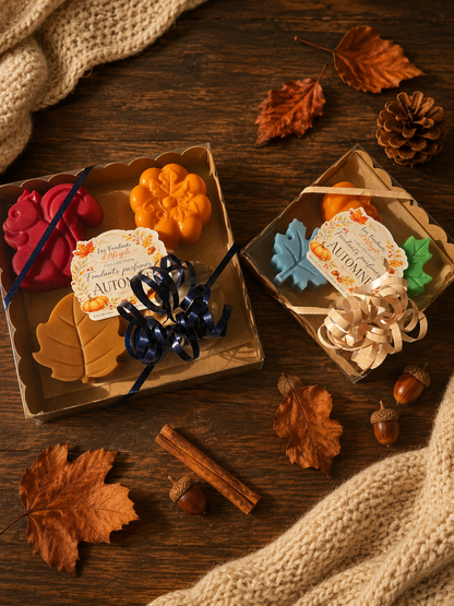 Coffret kraft de 4 fondants parfumés artisanaux de la Collection Automne Les Fondants d’Aliyah