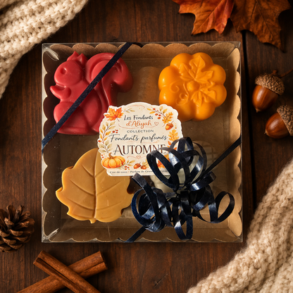 Coffret kraft de 4 fondants parfumés artisanaux de la Collection Automne Les Fondants d’Aliyah